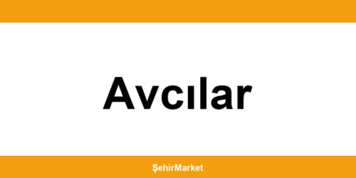 Migros Avcılar şubeleri ile iletişim
