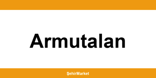 Migros Armutalan şubeleri ile iletişim