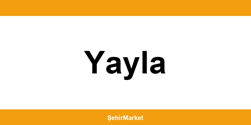 Migros Yayla şubeleri ile iletişim